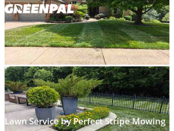 Lawn Cut nearby Springfield, MO, 