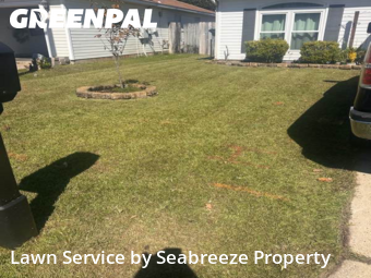 Turf Services in Navarre, 32566, Yard Cutting by Seabreeze Property , work completed in Nov , 2025