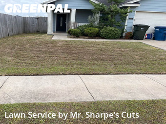 Lawn Care nearby Corpus Christi, TX, 
