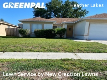 Yard Cutting nearby Brandon, FL, 