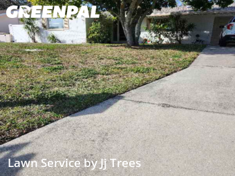 Grass Cuttingin Clearwater,33756,Lawn Cutting by Jj Trees, work completed in Feb , 2026