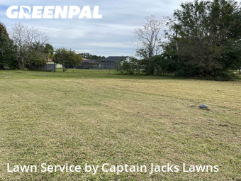 Lawn Mow nearby Orlando, FL, 