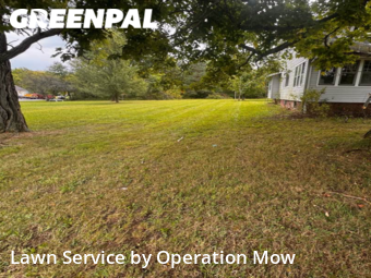 Yard Upkeep in Alliance, 44601, Grass Cutting by Operation Mow, work completed in Nov , 2025
