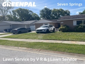 Yard Cutting nearby New Port Richey, FL, 