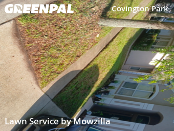 Yard Cutting nearby Riverview, FL, 