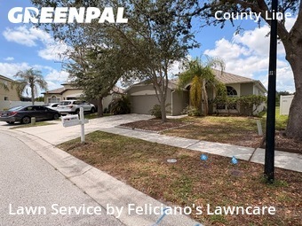 Grass Cutting nearby Tampa, FL, 