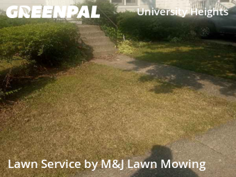 Lawn Mow nearby Buffalo, NY, 