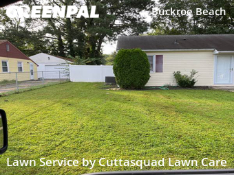 Lawn Maintenance nearby Hampton, VA, 
