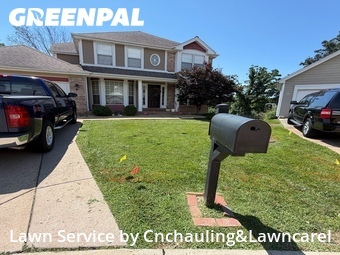 Grass Cut nearby St. Louis, MO, 