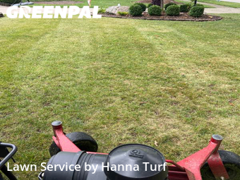 Lawn Cut nearby Lorain, OH, 