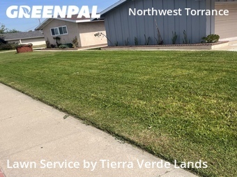 Grass Cut nearby Torrance, CA, 