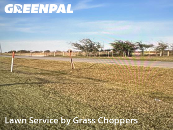 Grass Cut nearby Krum, TX, 