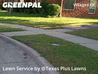 Lawn Care nearby Plano, TX, 
