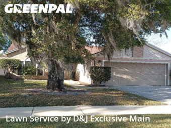 Grass Cut nearby Orlando, FL, 