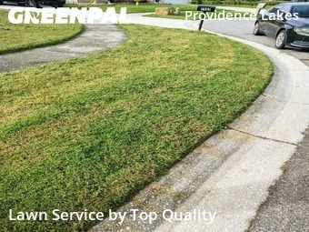 Grass Cuttingin Brandon,33511,Yard Mowing by Top Quality , work completed in Oct , 2025