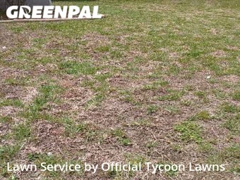 Yard Mowing nearby De Land, FL, 