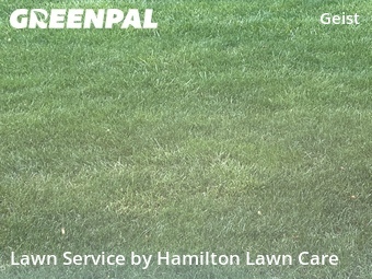 Lawn Cut nearby Indianapolis, IN, 