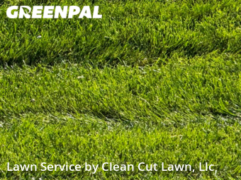 Grass Cut nearby Blue Springs, MO, 
