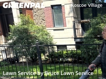 Yard Cuttingin Chicago,60657,Grass Cutting by Bruce Lawn Service, work completed in Jun , 2026