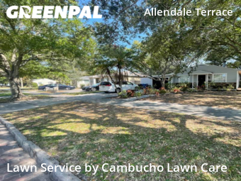 Lawn Mowing nearby St. Petersburg, FL, 