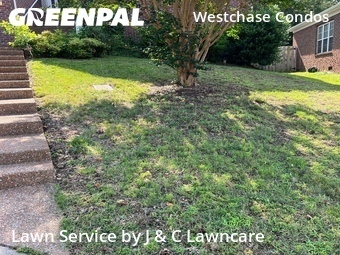 Grass Cutting nearby Nashville, TN, 