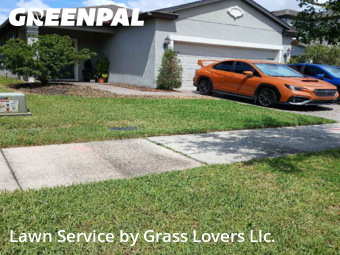 Grass Cut nearby Kissimmee, FL, 