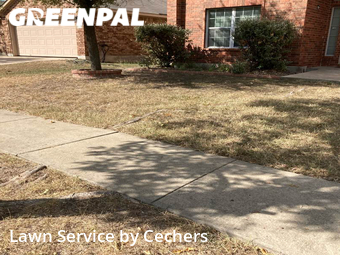 Grass Cutting nearby Round Rock, TX, 