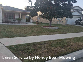 Lawn Mowingin Cibolo,78108,Lawn Cut by Honey Bear Mowing, work completed in Jan , 2026