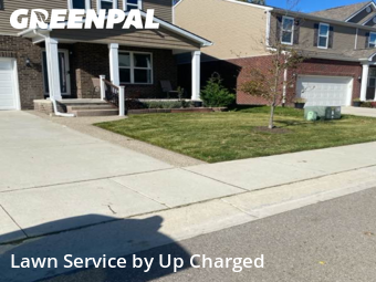 Lawn Cutting nearby Westland, MI, 