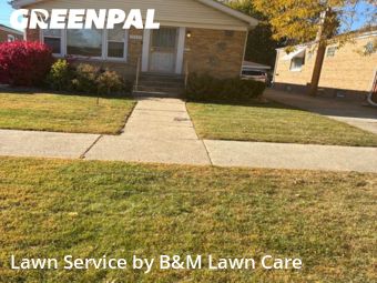 Grass Cut nearby Dolton, IL, 