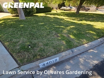 Lawn mowed in Lancaster, 93534