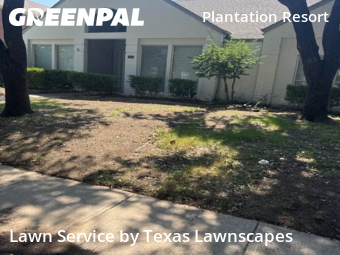 Grass Cutin Frisco,75035,Yard Mowing by Texas Lawnscapes, work completed in Nov , 2025