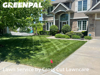 Lawn Cut nearby Papillion, NE, 
