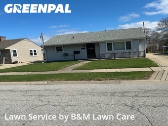 Yard Mowing nearby Highland, IL, 