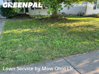 Lawn Mow nearby Grove City, OH, 