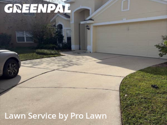 Lawn Cutin Apopka,32703,Grass Cutting by Pro Lawn, work completed in Jan , 2026
