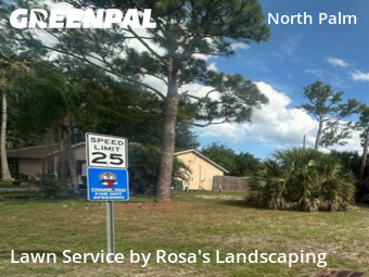 Mowing Services in Jupiter, 33458, Turf Services by Rosa's Landscaping , work completed in Nov , 2025