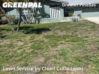 Lawn Cut nearby St. Petersburg, FL, 