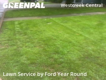 Yard Cutting nearby Fort Worth, TX, 