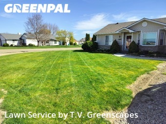 Grass Cut nearby Nampa, ID, 