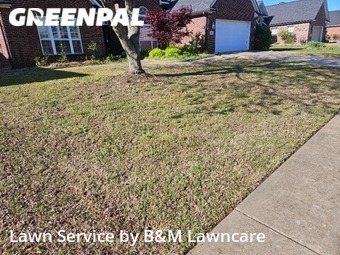 Lawn Maintenance nearby Rogers, AR, 