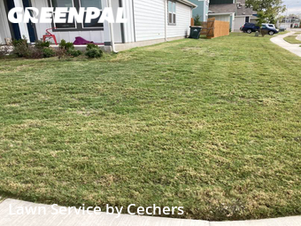 Lawn Maintenance nearby Austin, TX, 