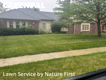 Lawn Cut nearby Carmel, IN, 