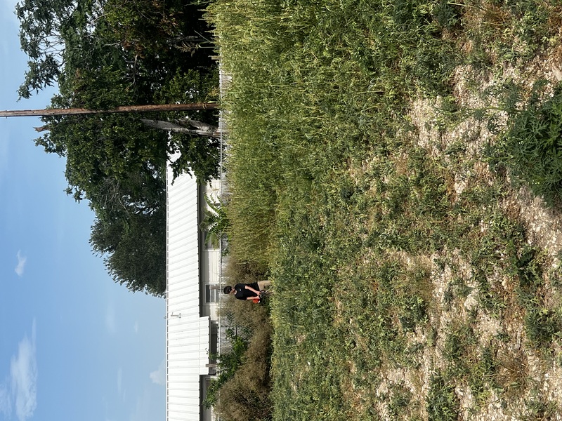 Work Image 4