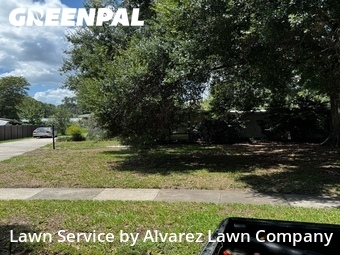 Lawn Cut nearby Winter Park, FL, 