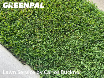 Lawn Mowing nearby Independence, MO, 