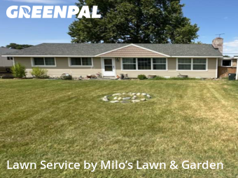 Lawn Upkeep in Kennewick, 99336, Yard Grooming by Milo’s Lawn & Garden, work completed in Nov , 2025
