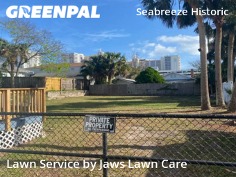 Lawn Cutting nearby Daytona Beach, FL, 