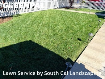 Work completed by professional-lawn-care-service-in-Imperial Beach-CA