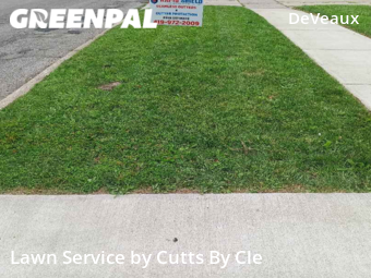 Lawn Cut nearby Toledo, OH, 